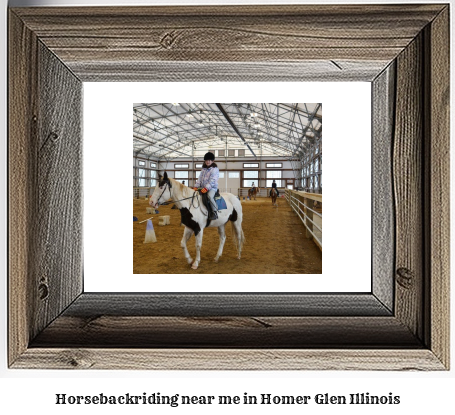 horseback riding near me in Homer Glen, Illinois